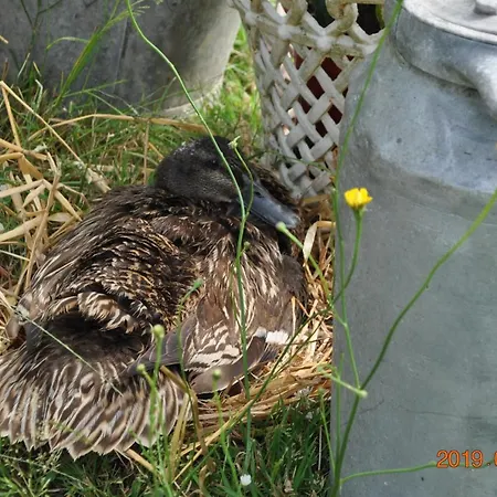 Ma Maison Bleue Saint-Brice-sous-Ranes