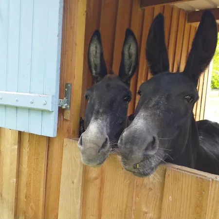 Bed and Breakfast Ma Maison Bleue Saint-Brice-sous-Ranes