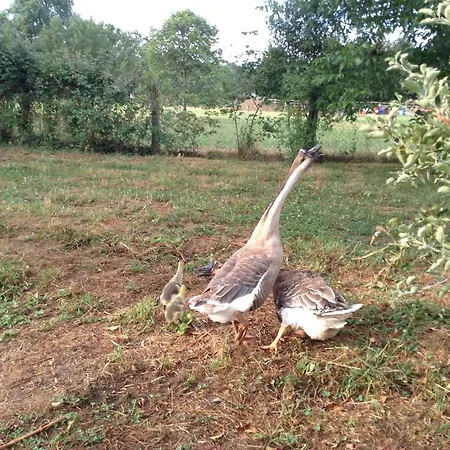 Couette-café Ma Maison Bleue 3*