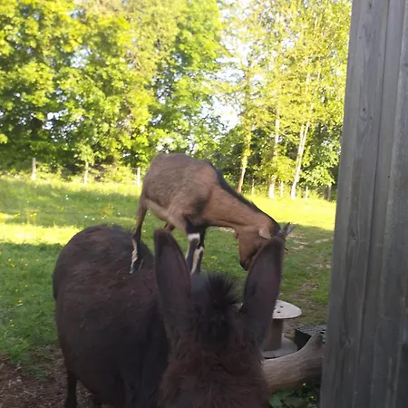 Ma Maison Bleue 3* Saint-Brice-sous-Ranes