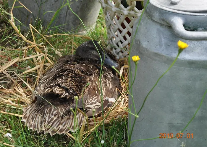 Ma Maison Bleue Saint-Brice-sous-Ranes
