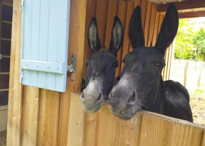 Nocleg ze śniadaniem Ma Maison Bleue Saint-Brice-sous-Ranes