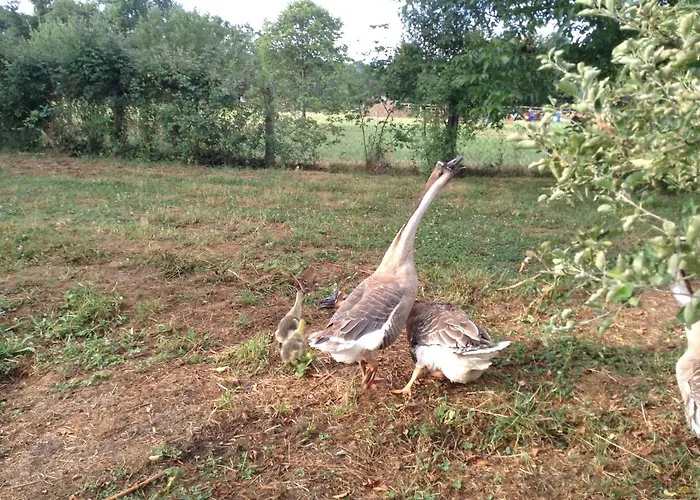 Nocleg ze śniadaniem Ma Maison Bleue 3*