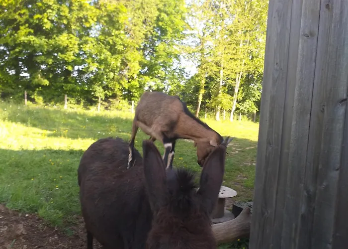 Ma Maison Bleue 3* Saint-Brice-sous-Ranes